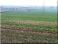 Fields Near Winton