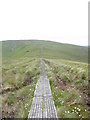 SJ0734 : Sleeper path through blanket bog at Bwlch Maen Gwynedd by Eric Jones