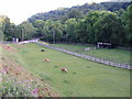 Horses graze on the valley bottom