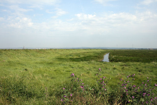 Drainage ditch near Oare Marshes Nature Reserve