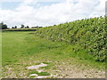 Pasture and hedge, Hall End of Wootton