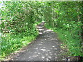 Castle Eden Walkway by Lumpley