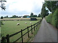 Driveway to Old Barn