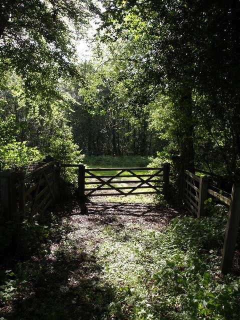 Gate near Bridewell