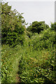 Bridleway west of Tunlands Farm, Over Wallop