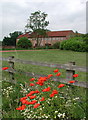 Barn Hill Farm