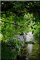 Wallop Brook near the Church Hall, Over Wallop