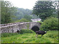 Bridge over Afon Taf