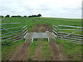 Cattle grid at Knock