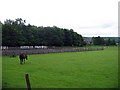 Riding School, Houghall