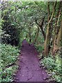 Footpath following old waggonway