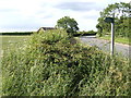 Bend in the road - footpath starts here