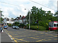 Tram Crossing, Bingham Road, Addiscombe