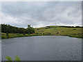 Private Fishing Pond