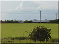 NS6969 : Field at Glaudhall Farm by Darrin Antrobus