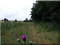 TL2058 : Overgrown footpath near Lansbury Farm by Jeff Tomlinson