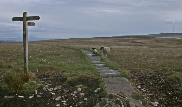 The way to Winter Hill
