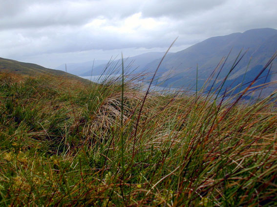 View of Loch Lochy above Glen Gloy