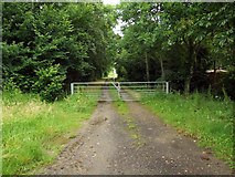 TL3156 : Can't go to Bourn on this bridleway by Jeff Tomlinson