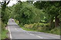 The Ballysallagh Road near Bangor