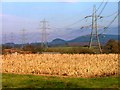 Pylons Near Atley Field Farm