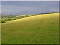 Downland, Hanging Langford