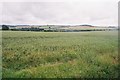 Milborne St. Andrew: looking across the fields