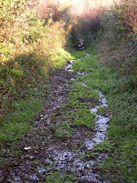 A very damp footpath