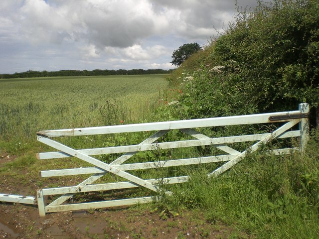 Broken gate
