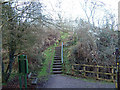 SO5301 : Steps on the footpath to Tintern Old Station by Roy Parkhouse
