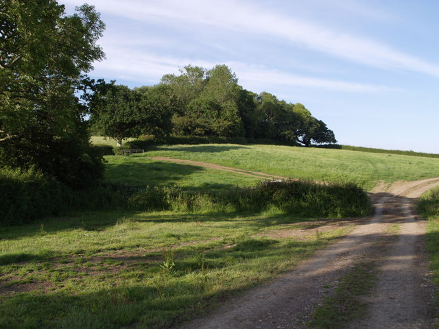 Bridleway near Abbott's Wootton