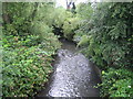 Wealdstone Brook in Kenton