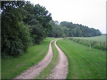 SU2632 : Driveway to Birchen Close Farm, Buckholt by Andy Gryce