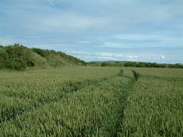 Farmland, Brawdy, Pembrokeshire