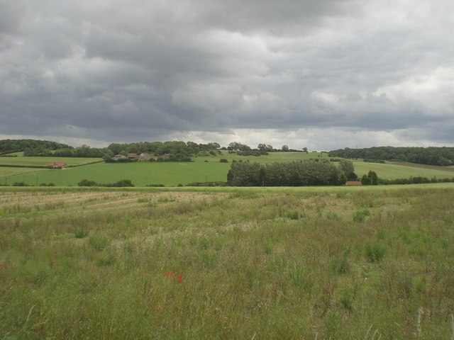Gallow Hill from Chalk Hill