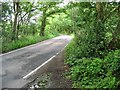 View along Thornden Wood Road