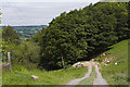 Farm track at Robins Bank