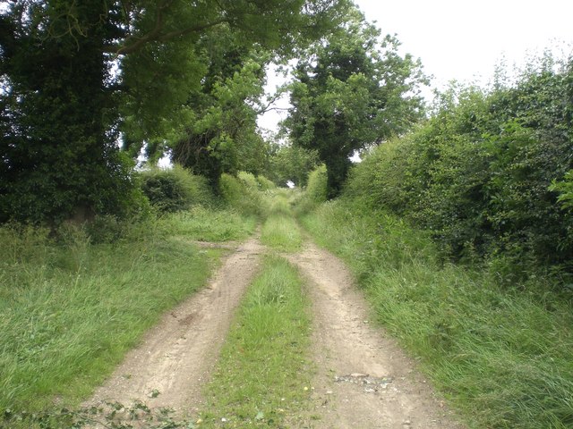 Track south of Sussex Farm