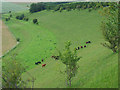 Downland, Steeple Langford