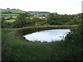 ST3801 : Pond near Knacker's Hole by Derek Harper