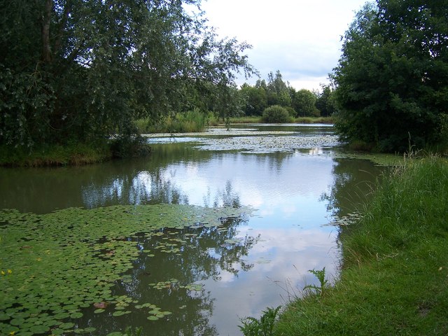 Thorney Lakes © Pam Goodey cc-by-sa/2.0 :: Geograph Britain and Ireland