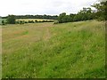 Meadows between Cholderton and Newton Tony