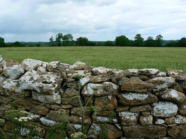 Drystone wall near St Catherine