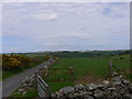 Gorse And Dry Stone Wall