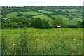 A view across a valley to Banner Down near Alcombe