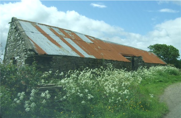 Old steading at Reaster