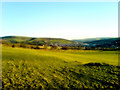 Farm on Mynydd Bach