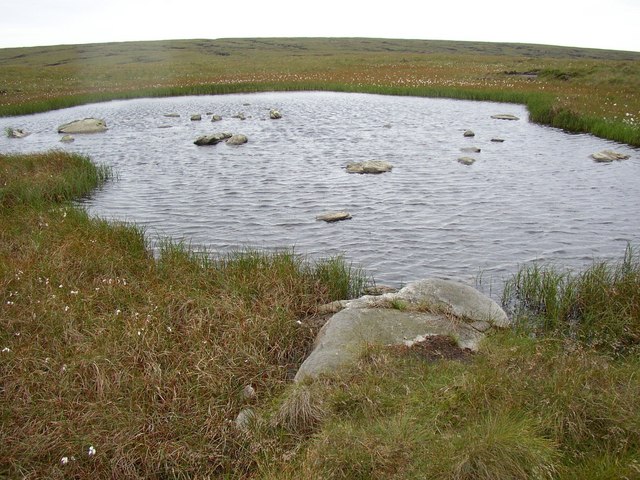 The pond, Birk Moss, Marsden