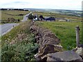 Boundary Wall alongside Hartcliff  Rd