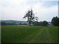 Fields and trees near Buckholt Farm, Buckholt